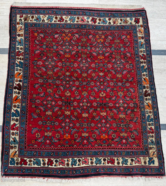 Late 19th century Persian Bidjar Rug. Cute size 117 x 137 cm. Please send me direct mail.
emreaydin10@icloud.com
Instagram - @emreaydinrug