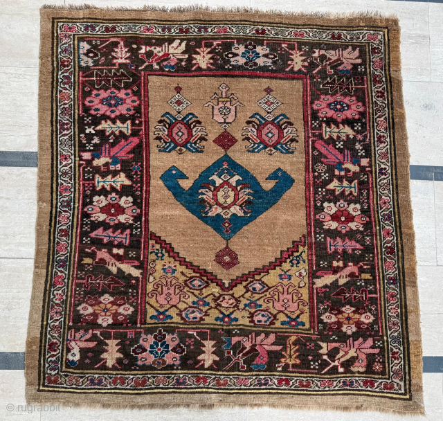 Late 19th century Bidjar Rug. Cute size 118 x 123 cm. Please send me direct mail.

emreaydin10@icloud.com

Instagram - @emreaydinrug               