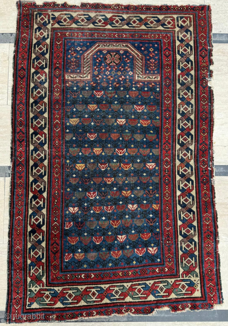 Prayer Shirvan Rug Circa 1870s. Size 90 x 140 cm. Please send me direct mail.

emreaydin10@icloud.com

Instagram - @emreaydinrug                