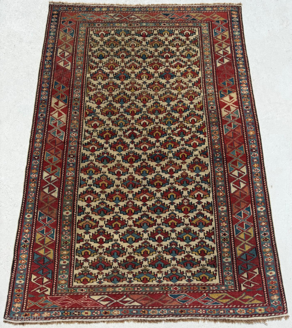 Caucasian Shirvan Rug. Circa 1870. Size 116 x 163 cm. Please send me direct mail.

emreaydin10@icloud.com

Instagram - @emreaydinrug                
