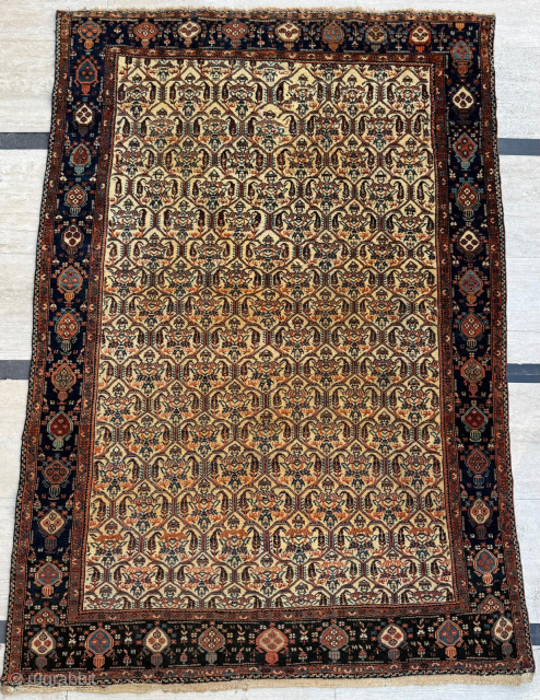 Late of the 19th century Melayer rug. Size 120 x 170 cm. Please send me direct mail.

emreaydin10@icloud.com

Instagram - @emreaydinrug              