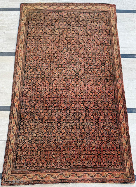 Late 19th century Persian Fereghan Rug. Thin quality. Size 114 x 197 cm. Please send me direct mail.

emreaydin10@icloud.com

Instagram - @emreaydinrug             