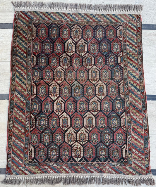 Late of the 19th century Shirvan rug. Size 115 x 140 cm. 
Please send me direct mail.

emreaydin10@icloud.com

Instagram - @emreaydinrug              