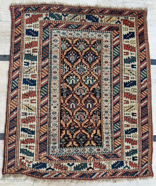 Late 19th century Kuba Shirvan Rug. Size 114 x 135 cm. Please send me direct mail.

emreaydin10@icloud.com

Instagram - @emreaydinrug               