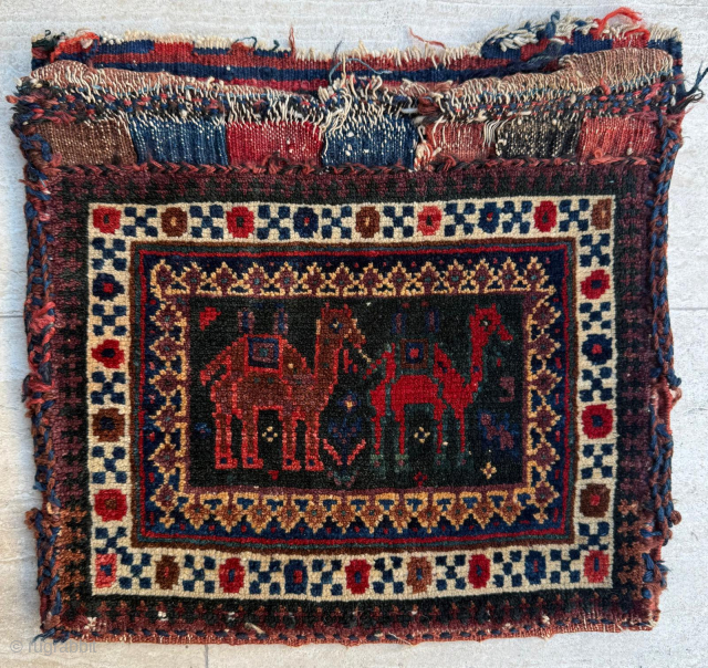 Circa 1860 Afshar Bagface. Size 30 x 34 cm. Please send me direct mail.

emreaydin10@icloud.com

Instagram - @emreaydinrug                 