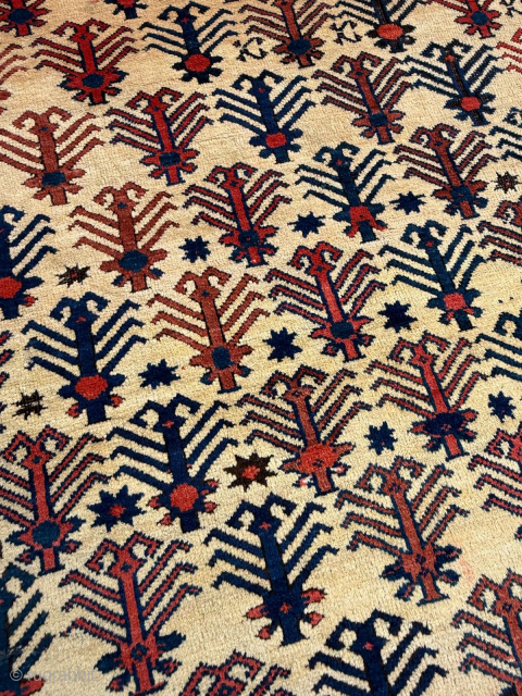 Circa 1860 East Persian Afshar Rug. Unusual design. Size 138 x 179 cm. Please send me direct mail.

emreaydin10@icloud.com

Instagram - @emreaydinrug             