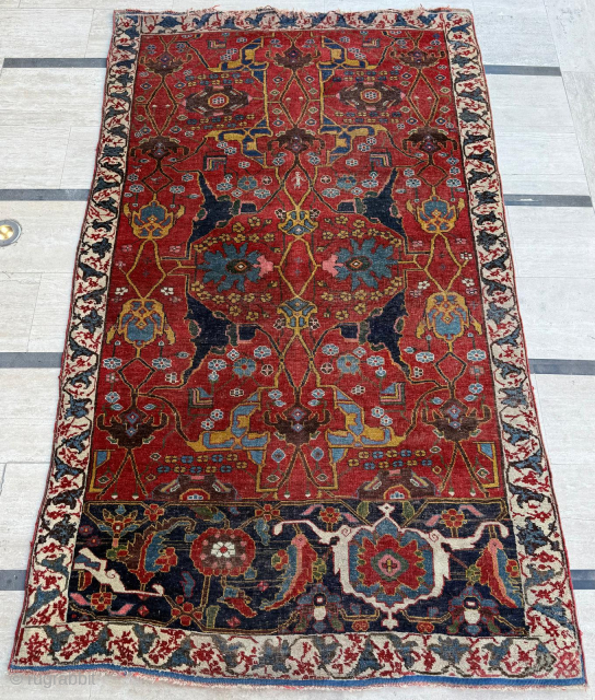 Circa 1870s Wagireh Bidjar
Dimensions: 140 x 230 cm. Please send me direct mail.

emreaydin10@icloud.com

Instagram - @emreaydinrug                  