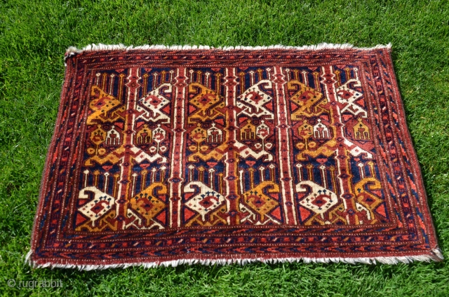 Uzbek ikat design torba. 20" X 34". Wool. Circa 1900. Excellent original condition with full pile. Beautiful natural dyes. Fine weave. Favorable price.	          