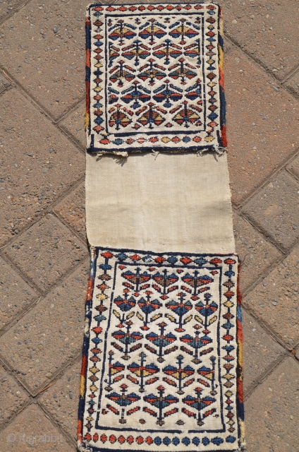 Antique Shahsavan flat woven mini khorjin 8-1/2" X 27".  Circa 1900. Soumac bud and flower design on cotton ground. All natural colors. Fine original condition.       