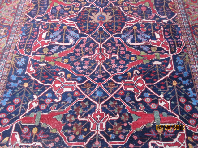 Antique Garrus Bidjar carpet with arabesque design, circa 1870, wool foundation, measuring 7'-5" x 13'-6",a symphony of color and design, truly a Kurdish masterpiece.         