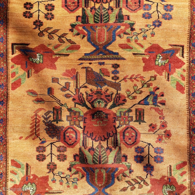 Beautiful antique squarish Afshar rug circa 1900, measuring 4-3 × 5                      