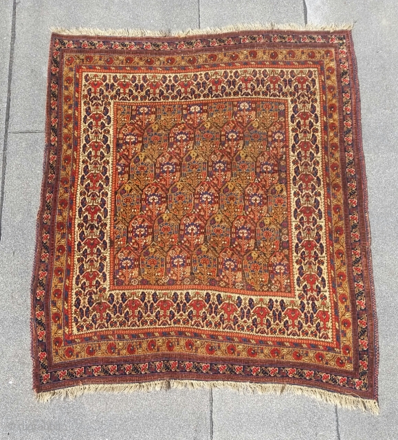 Antique Afshar rug from Sirjan area,circa 1850s,4'-9" × 5'-6", good condition, fantastic colors,wonderful border. Similar rug can be found in a book named  Visions of Nature by Jim Burns plate 61. 