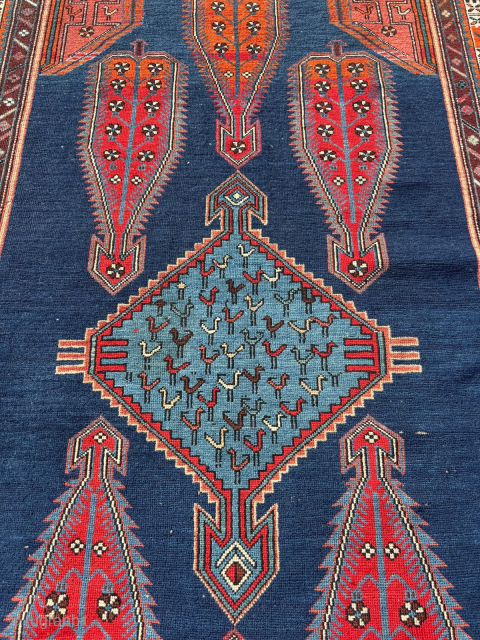 Circa 1900 Shikli Rug. Size: 137 x 225 cm