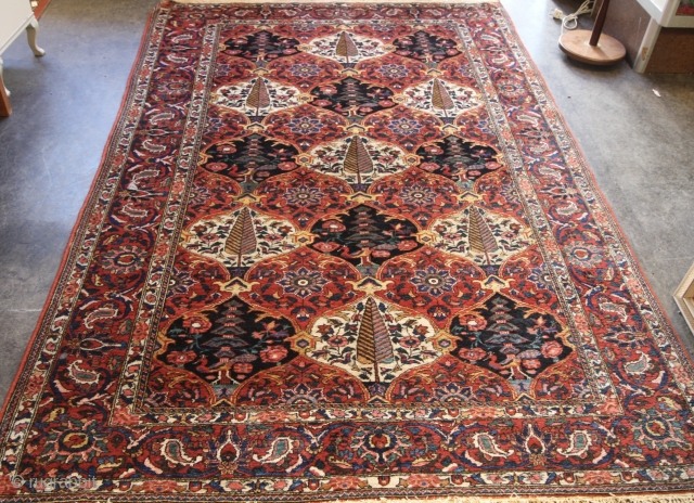 1920's/30's Baktiari Rug
Condition Ok.
One end needs stopping
Size: 213cm x 138cm                       