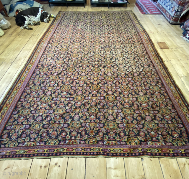 Semi Antique Senneh Kelim
Size: 330 cm x 208
Condition: Good, small colour run in the middle But general overall condition good.
             