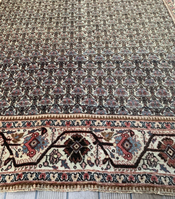 Probably Persian Tabriz with rare zili sultan pattern. 184cm x 131cm                      