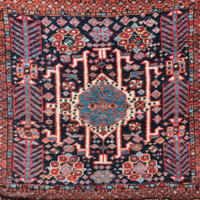 Luri bagface with central rosette, excellent wool, drawing, and color. 155x135"                      