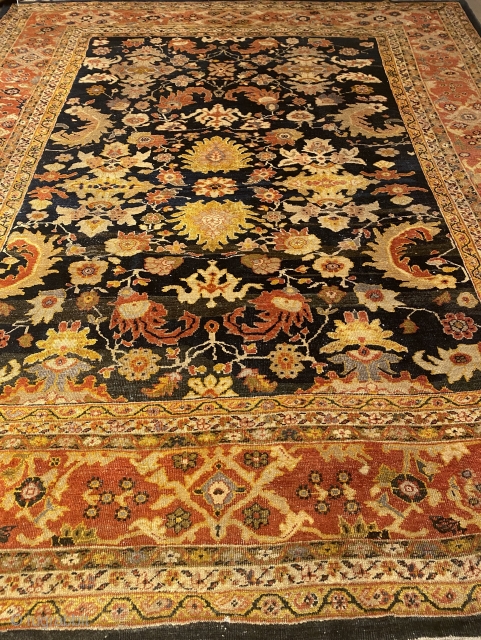 Sultanabad carpet, (apx. 10'x12')


I am proud to announce the grand opening of my new rug shop just north of Berkeley, California on Solano Avenue in Albany where i will be offering a  ...