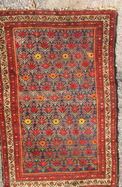 Candy Land.  A late but a beautiful and rare kurdish rug with Khashkhash flowers.                  