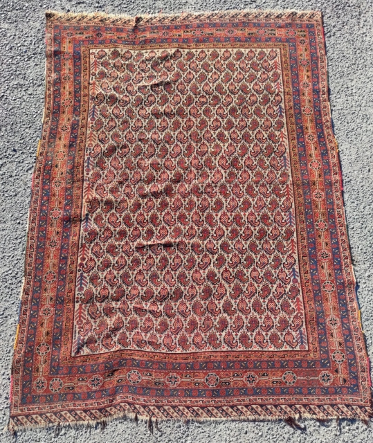 Afshar Persian Rug

Circa 1870 


Size: 125x175 cm                          