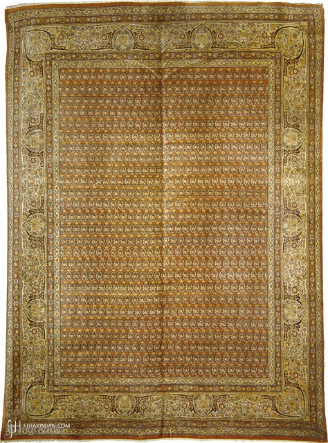 Antique Persian Tabriz Rug
Persia ca.1890
10'8" x 8'0" (326 x 244 cm)
FJ Hakimian Reference #07022
                   