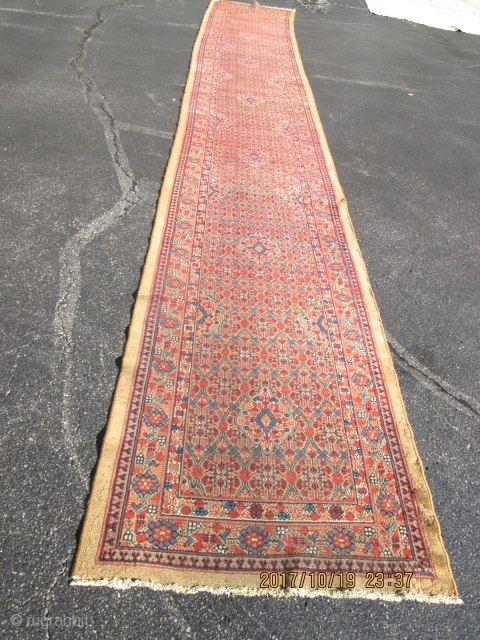 Antique Camel Hair Serab Rug.

Size 2'11''x21'.                           