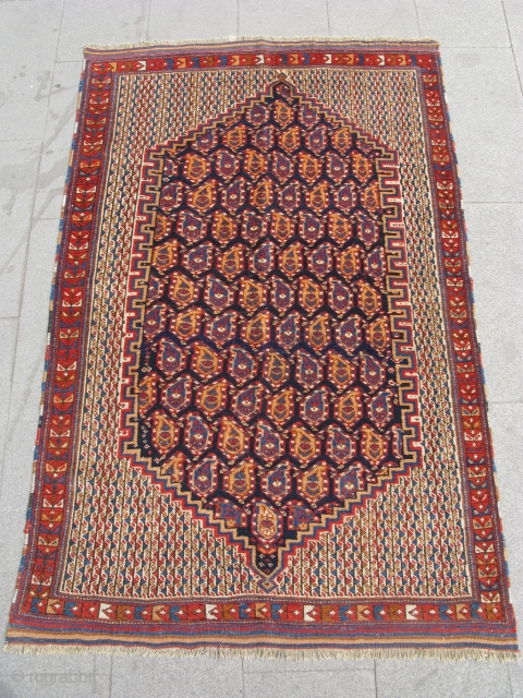 4676-Afshar carpet 170x115                              