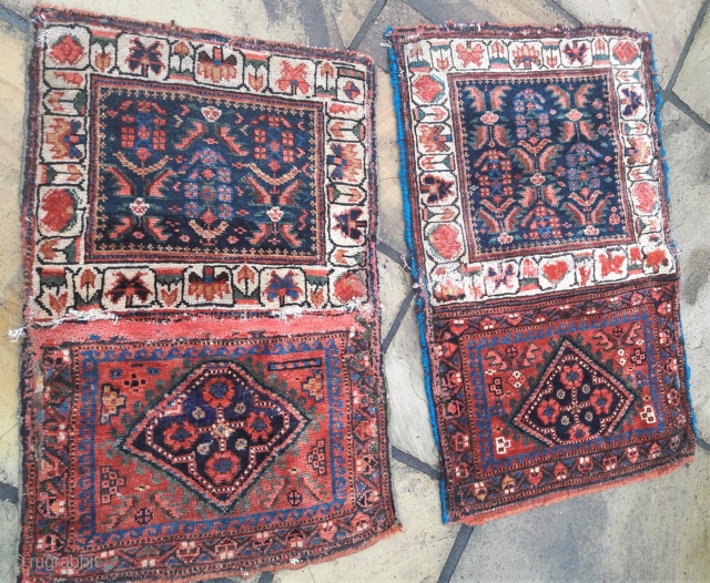 An unusual pair of antique N.W.Persian bags, piled front and back, recovered from use in upholstery. Some obvious areas of horrible re-piling, but colours are vibrant and saturated, and the wool is  ...