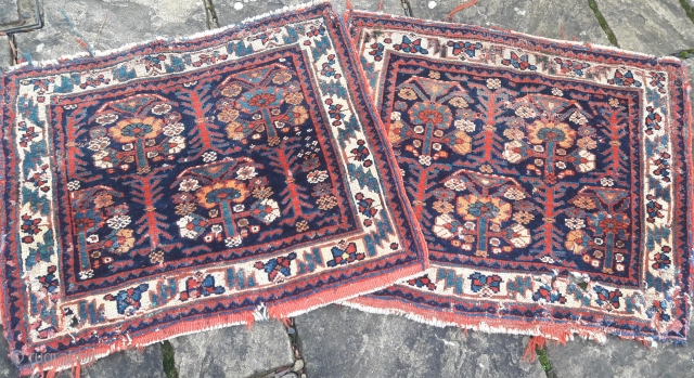 Pair of large late 19th century Afshar bags, in distressed condition, with good saturated colours, and long lustrous pile.
32in by 27in            