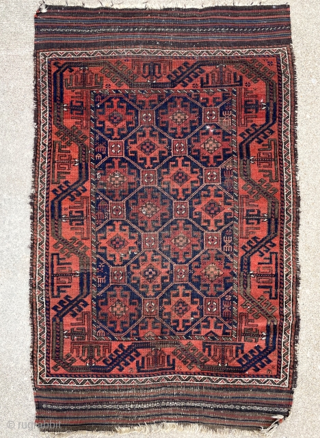 Recently acquired nice Baluch rug. I especially like the kilims and the filler motifs and animals on the outer sides of the field.

3'0" x 4'11"        