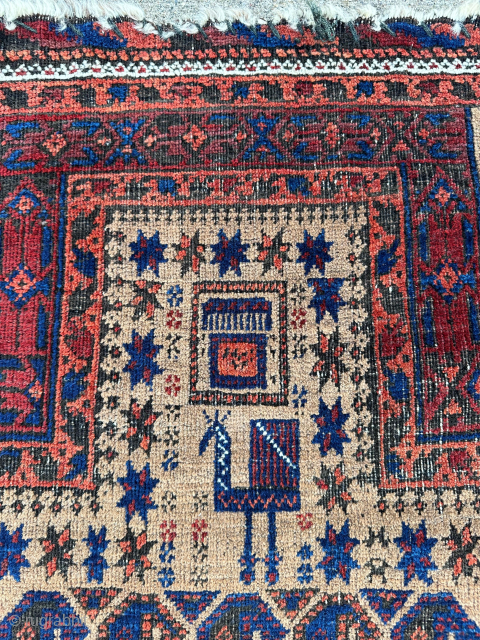 One lonely chicken on the top of this old Baluch prayer rug with hands on the panels. Depressed warps. 2'5" x 4'7". Contact me at steven.malloch@gmail.com or gerrerugs@gmail.com for more info since  ...