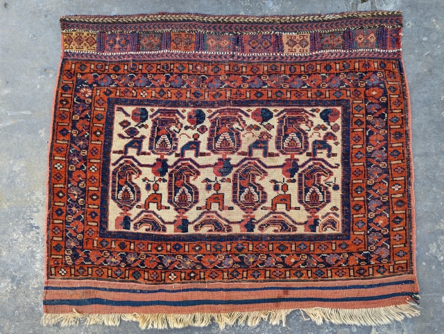 White field Afshar bag face. Good colors. Please contact me at: steven.malloch@gmail.com or gerrerugs@gmail.com.                   