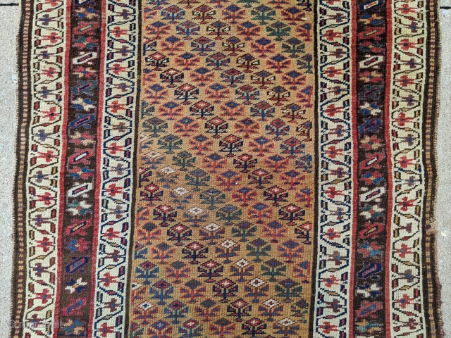 Antique NW Persian Kurdish runner. 3'4" x 13'5". Beautiful colors and diagonal coloring. Overall in great usable shape one old repair.

Cheers.            