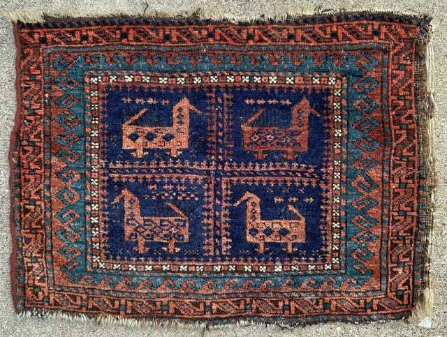 Antique Baluch bird bag face with unusual layout. Good pile. 24" x 18" or 61 x 46cm. Contact me at steven.malloch@gmail.com or gerrerugs@gmail.com for purchase or questions.      