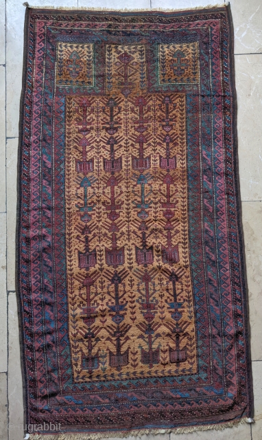 Great colors on this antique Baluch prayer rug. The field is certainly camel wool and all natural dyes throughout. Folds like a cloth. 3'0" x 5'6" or 91 x 166cm.   