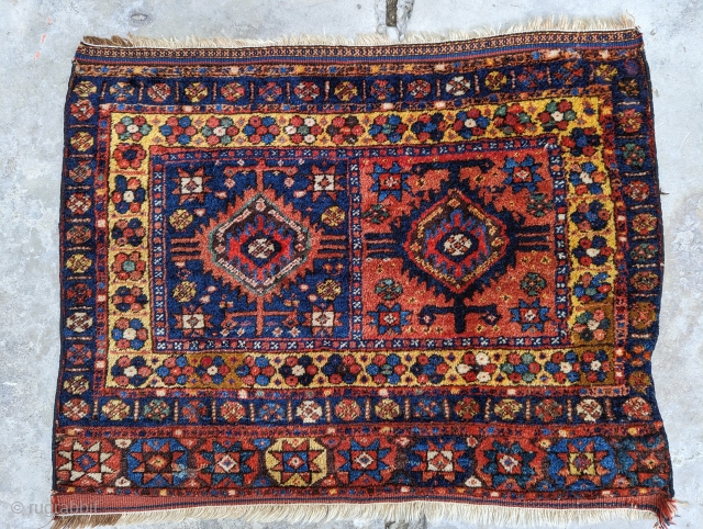 Antique Sanjabi Kurdish bag face with plenty of color and glossy full pile. Two repair areas but other than that full pile.

3'5" x 2'8

Please contact me at: gerrerugs@gmail.com or steven.malloch@gmail.com   