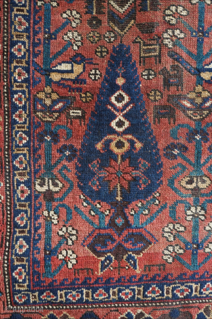 Antique Sistan Baluch rug with cotton warps and an Afshar design. 6'3" x 3'9" or 190 x 114cm. Please contact me at steven.malloch@gmail.com or gerrerugs@gmail.com for purchase or questions. Cheers.   