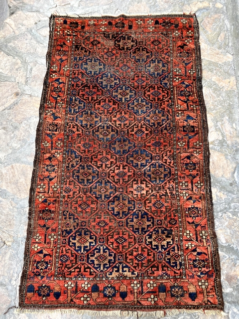 Colorful antique Baluch rug with some animal motifs in the flower border. 3'4" x 5'9".                  