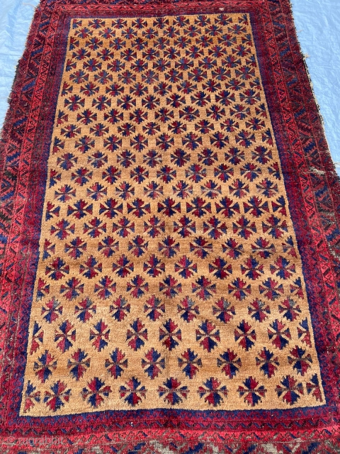 Antique, quite old, Baluch rug. Unusual large size undyed camel hair field. Love how the spacing of the leaves become more generous.   230 x 140cm or 7'7" x 4'8"  