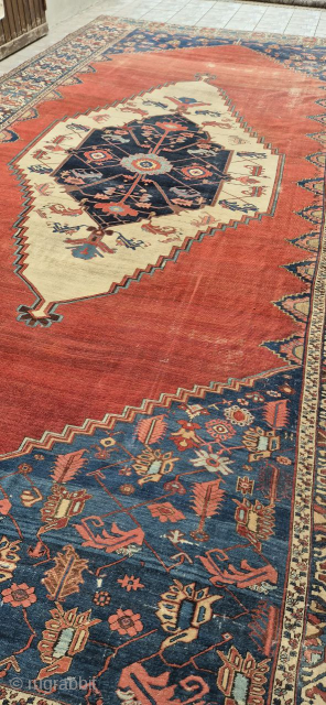 beautiful antique serapi size:680x340 cm 1880 circa