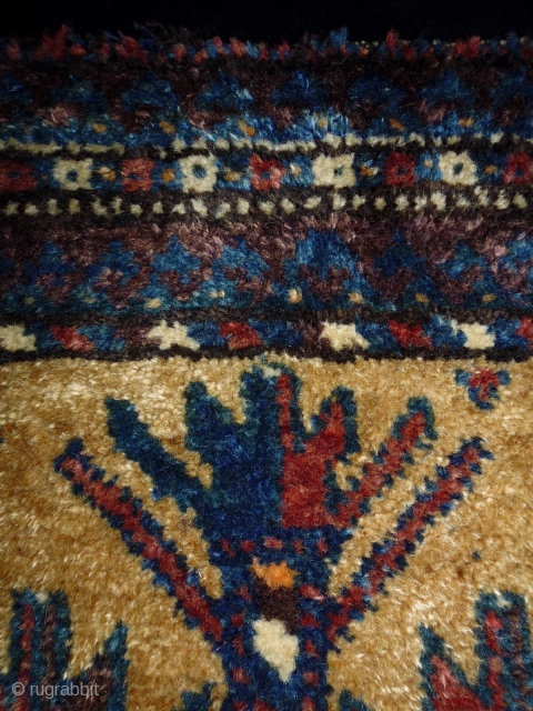 Belouch Balisth
Size: 46x107cm (1.5x3.6ft)
Natural colors, glossy wool, made in circa 1910/20, there old repairs at the corners                