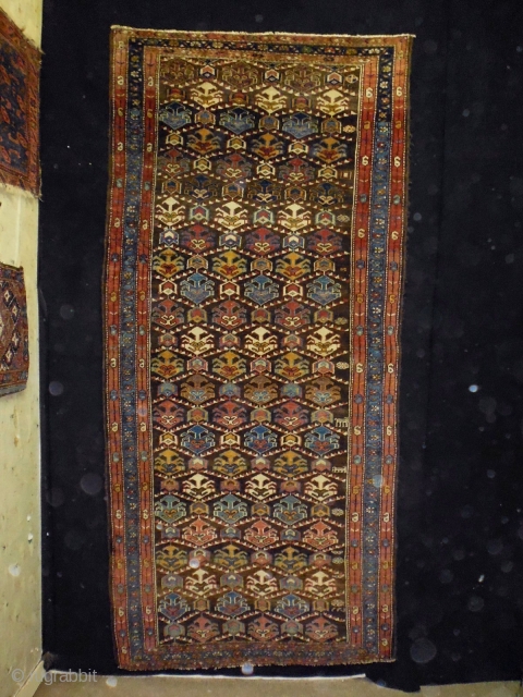 Kurd
Size: 112x240cm (3.7x8.0ft)
Natural colors, super wool quality, made in circa 1910                      