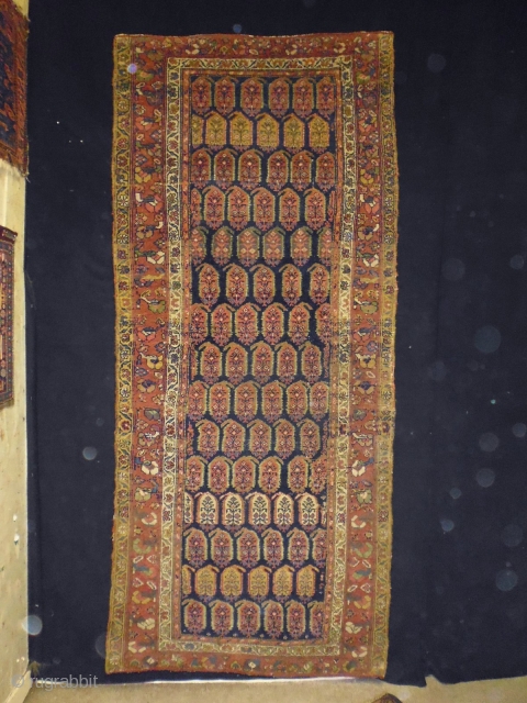 1880 Kurd Boteh
Size: 100x230cm (3.3x7.7ft)
Natural colors                           