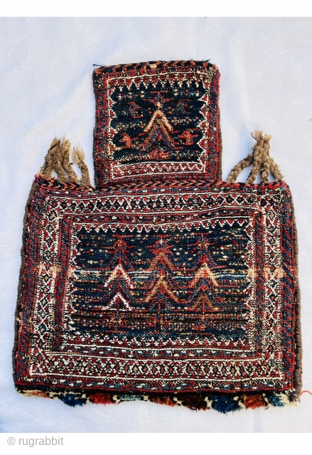  Beautiful Luri Bakhtiyai Saltbag sumak technique 1880 circa all good colors and very good condition 60x48cm                