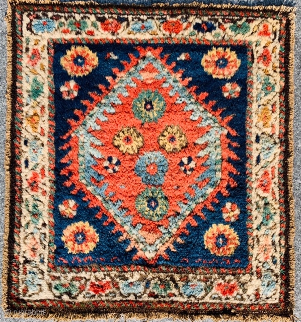 	shahsevan bagface 1880 circa first quality of wool and colors, perfect conditional•••size 60x57cm                    