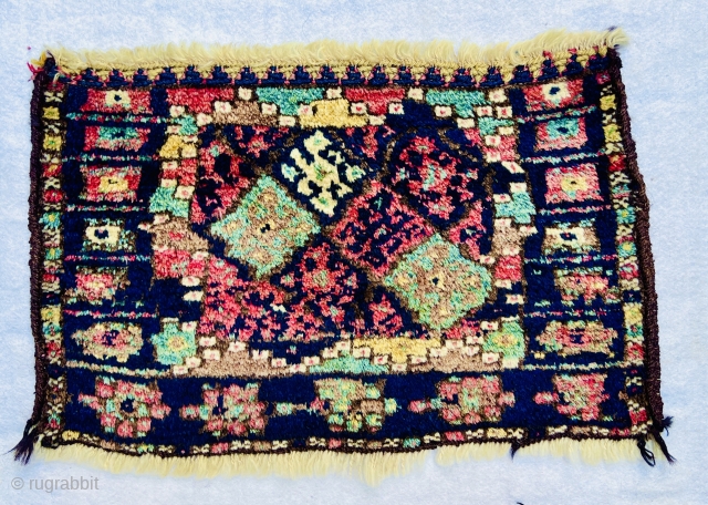 Kurdish Jaf bagface very tribal design and high wool  circa 1880  in perfect condition•••size63x41cm                 