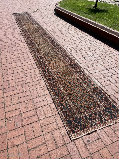 Late 19th century Azerbaijan long rug repetitive design and different green tones in border (all natural dyes) also good condition, couple of lines re-weave at double ends (also inside has small old  ...