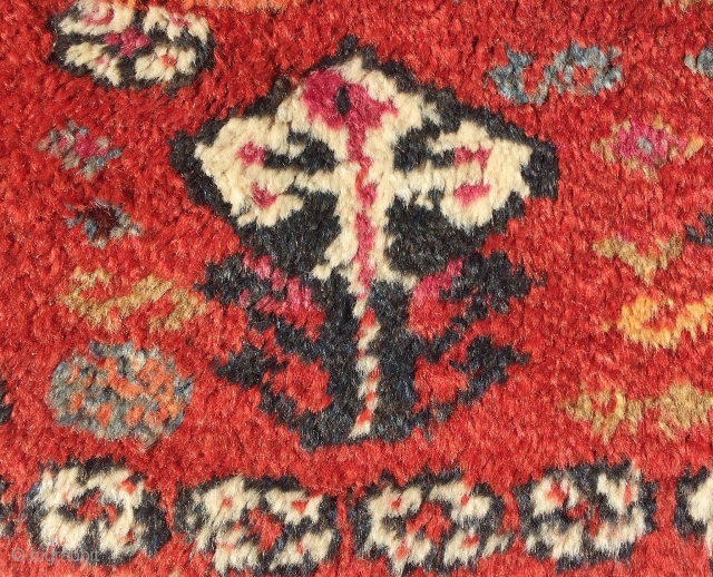 East Anatolia Rug fragment 235 x 160 cm                         