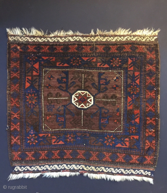 Circa 1880 Baluch Timuri, wool on wool 80 x 87 cm                      