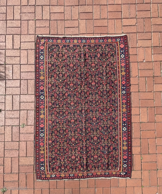 Mint condition Senneh kilim around 1920, there is only small repaired place (at last picture). Size : 195 x 137 cm            